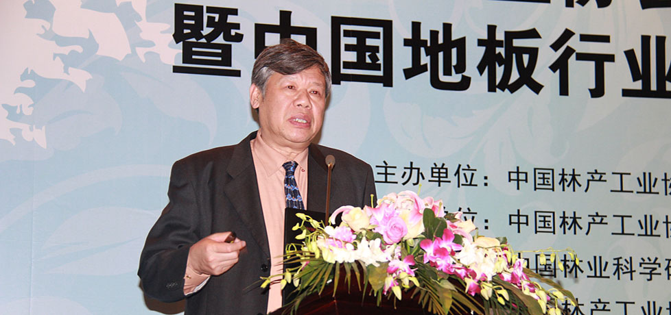 中國(guó)林產(chǎn)工業(yè)協(xié)會(huì)地板專業(yè)委員會(huì)理事長(zhǎng)、中國(guó)林科院木材工業(yè)研究所所長(zhǎng)葉克林發(fā)言